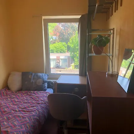 Beethoven ホームステイ