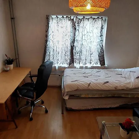 Beethoven Проживание в семье *