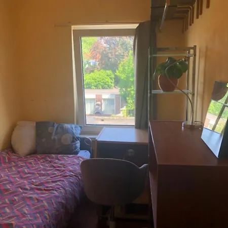 Beethoven Homestay *